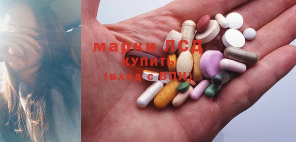 крисы Магас