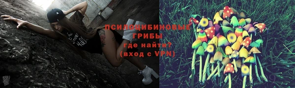 героин Алексин