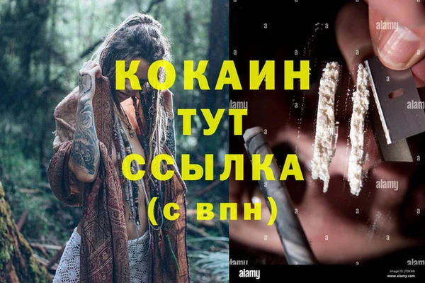 альфа пвп Медвежьегорск