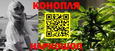 молекула духа Лесосибирск