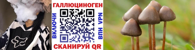 наркота  Десногорск  Псилоцибиновые грибы прущие грибы 